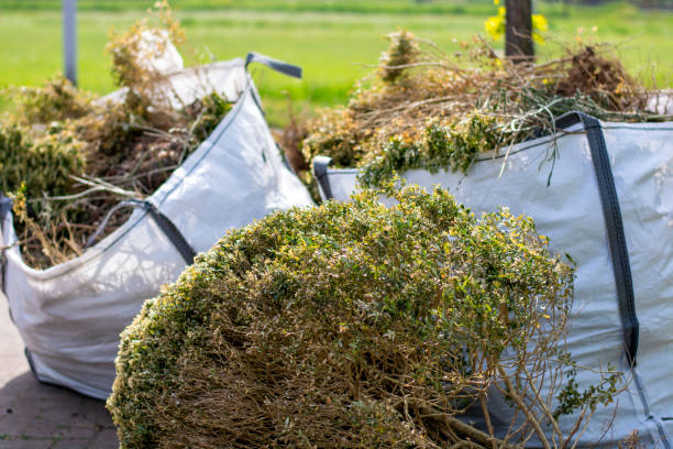 Best Same-Day Junk Removal  in Towaco, NJ